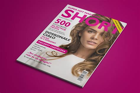 Download Download This Magazine Mockup Free PSD - Designhooks