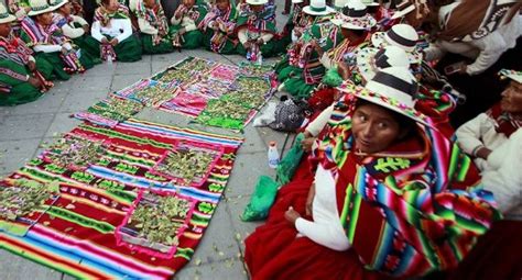 Reconocen Avances De Bolivia En Defensa De Derechos Indígenas