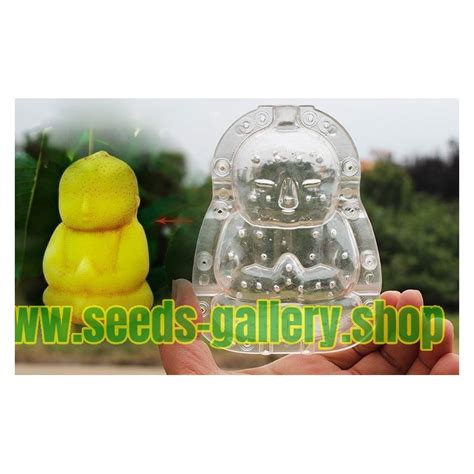 Fruit Mold In The Form Of Buddha Pear Muskmelon Price €1500