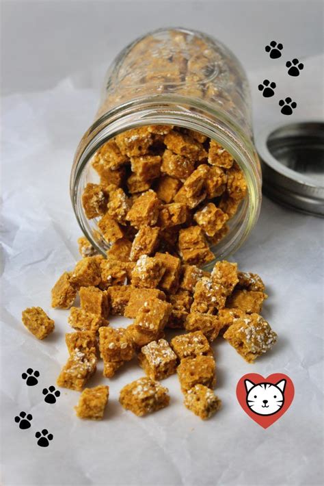 With healthy fats like coconut oil, your dog can enjoy sustained energy throughout the day. Pumpkin and Salmon Kitty Bits (Cat Treats) | Recipe ...