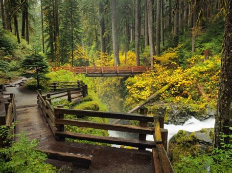 Hoh Rain Forest Visitor Center • Forks • That Sounds Awesome