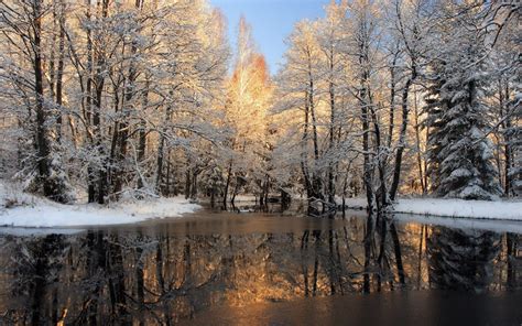 Rivers Ponds And Streams Wood Winter Snow Tree Fall Nature Oil
