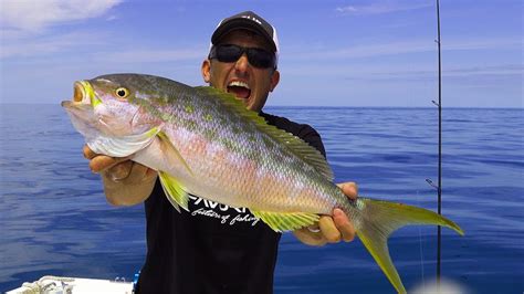 Yellowtail Snapper Biggest Ive Ever Seen Catch Clean Cook Plus
