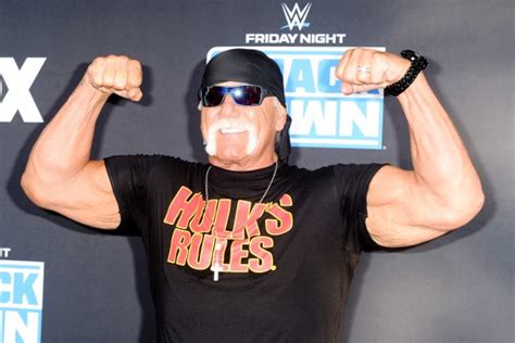 Hulk Hogan Reaches Settlement With Cox Radio Over 110m Sex Tape Lawsuit