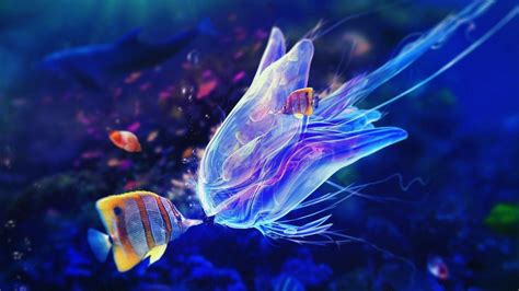 Neon Fish Wallpapers Top Free Neon Fish Backgrounds Wallpaperaccess