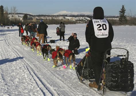 Mushers Reach Halfway Point Of Yukon Quest Sled Dog Race Eye On The
