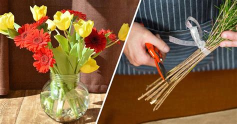 15 Ways To Make Cut Flowers Last Without Chemicals Gardening Channel