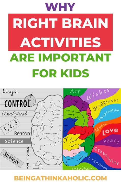 9 Right Brain Activities For Kids In 2022 Brain Activities Brain