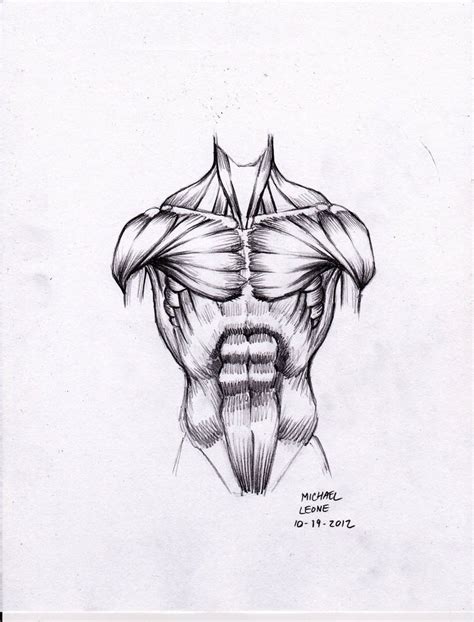 Study Of A Male Torso Front 10 19 2012 By Myconius On Deviantart