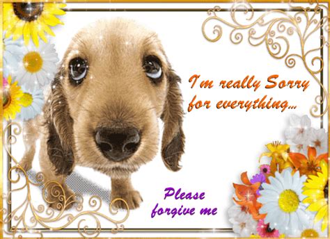 Im Sorry For Everything Free Sorry Ecards Greeting Cards 123 Greetings