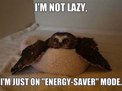 Funny Laziness Memes Healthy Living