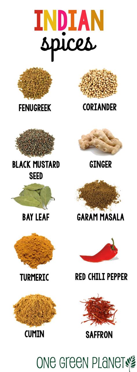 Indian Spices List With Images Pdf