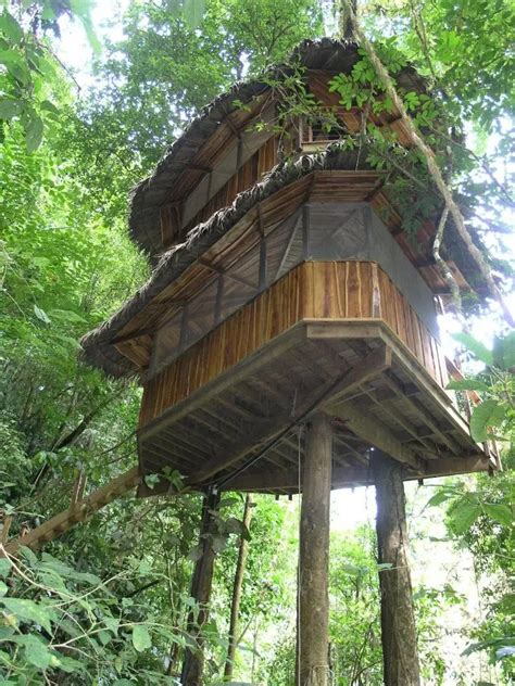 Couple Builds Finca Bellavista Treehouse Village In Costa Rica