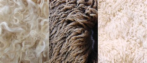 The Wool Journey Part 2 Wool Attributes Thickness The Natural