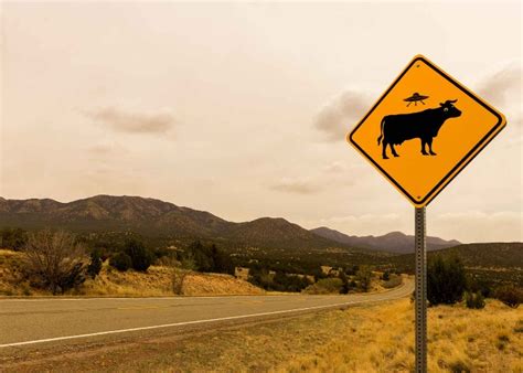 Hilarious Road Signs From Around The World Loveexploring