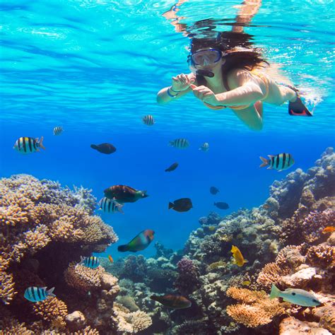 Visiting Oahu For Snorkeling 3 Interesting Facts About