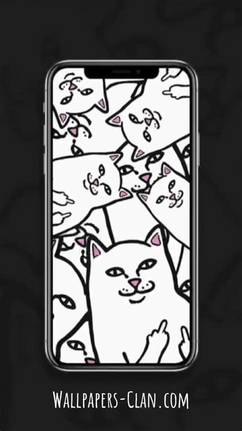 Ripndip Wallpapers For Iphone And Android Lord Nermal Cat Wallpapers
