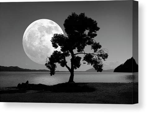 Moon Rising Over The Sea Canvas Print Canvas Art By Detlev Van Ravenswaay