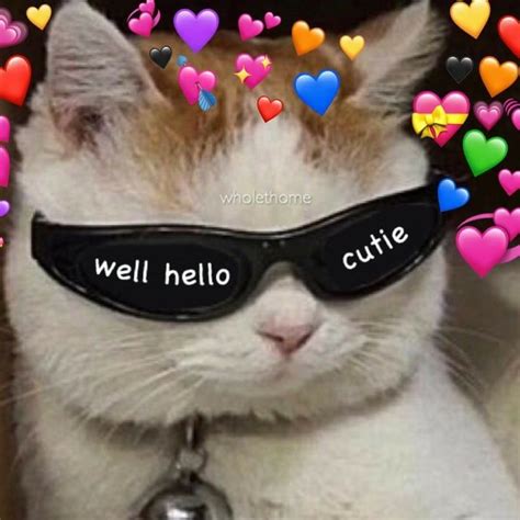 Pinterest Xxcrystalised♡ Pinterest Xxcrystalised Cute Cat Memes