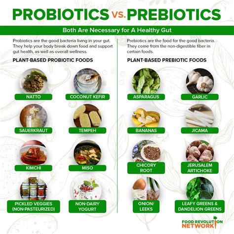 foods high in probiotics