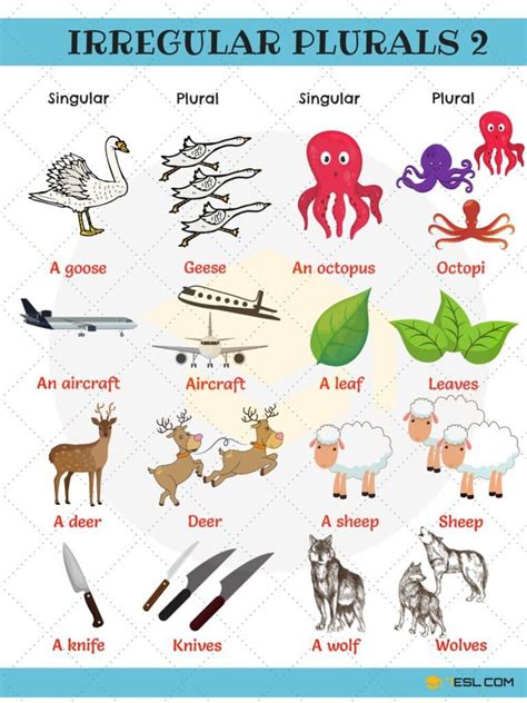 Irregular Plural Nouns Useful Rules List And Examples Vocabulario En