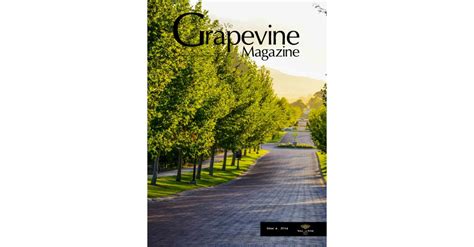 Grapevine Magazine Issue 3