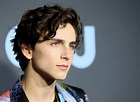 Timothée Chalamet: ¡Descubre algunos datos curiosos del joven actor!