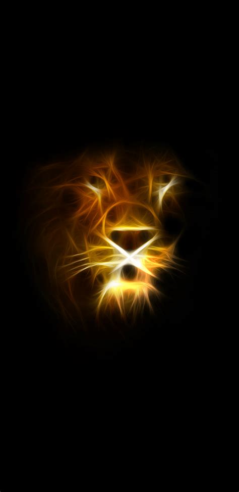 Amoled Lion King Wallpapers Wallpaper Cave