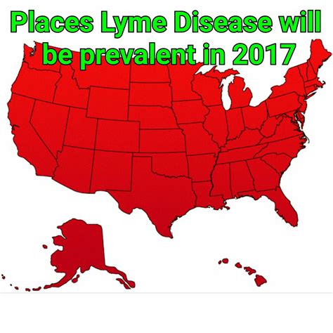 Brew Life With Lyme Lyme Disease Prevention What You Can Do To