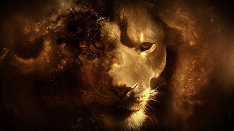 lion fantasy art wallpapers hd desktop  mobile