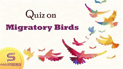 Migratory Birds Quiz Gk In Migratory Birds Quiz On Migratory Birds