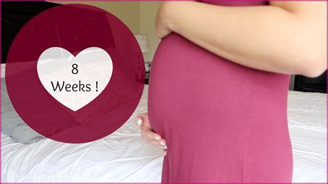 8 weeks pregnant update symptoms morning sickness and belly shot youtube