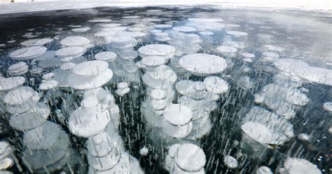Ice Bubbles On Surface Of Frozen Lake Delight Photographers In