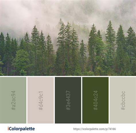 Forest Theme Colors Curated Collection Of Color Palettes