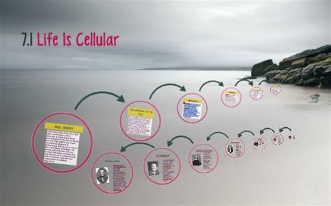 Covering all main ideas, vocabulary, etc. 7.1 Life Is Cellular by Neilia Berry on Prezi