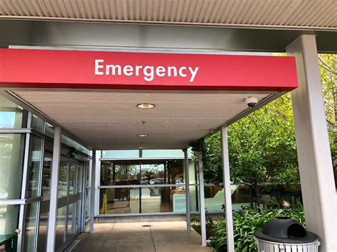 53 Best Images Alameda Pet Hospital Emergency / Hospital emergency