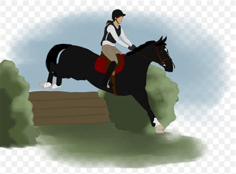 Show Jumping Stallion Hunt Seat Eventing Rein Png 1024x755px Show