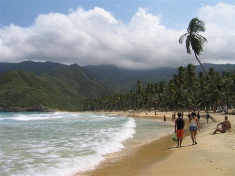 Free Photo Tropical Beach Beach Ocean Picnic Free Download Jooinn