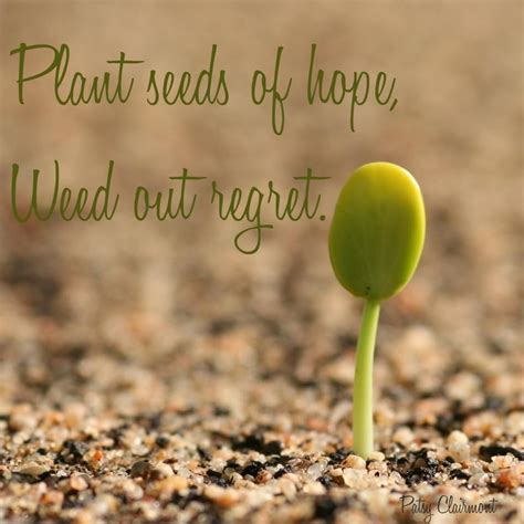 Plant Seeds Of Hope The Tiny Seed Seed Quotes Seeds