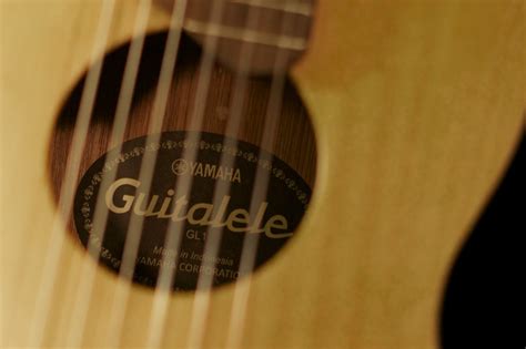 Free Images Acoustic Guitar Musical Instrument Close Up Ukulele