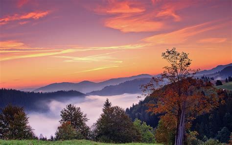 An axial tilt of earth also occurs while rotating on its own axis causing difference in timings at. sunset, Mountains, Trees, Fall, Landscape, Autumn, Fog ...