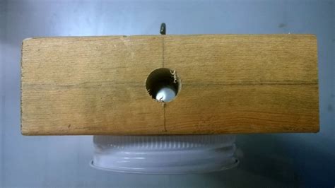 A carpenter bee trap is an instrument made from a wooden box attached to either a glass jar or a plastic bottle. The Wood Knack: Simple Carpenter Bee Trap