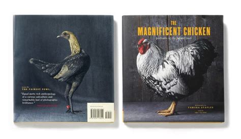 The Magnificent Chicken Chronicle Books 2013 Tamarastaples Wordpress