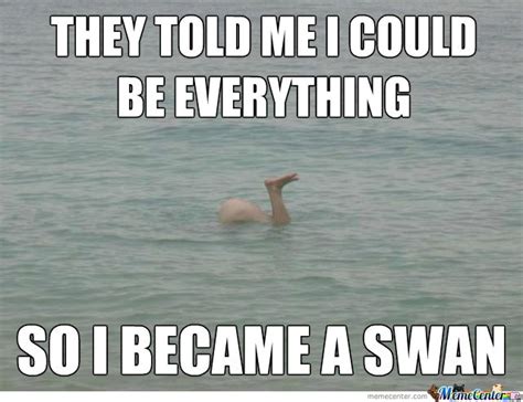 Asswan Funny Pictures Funny Humor