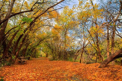 5 Of The Best Places And Times To See Fall Foliage In Texas Images