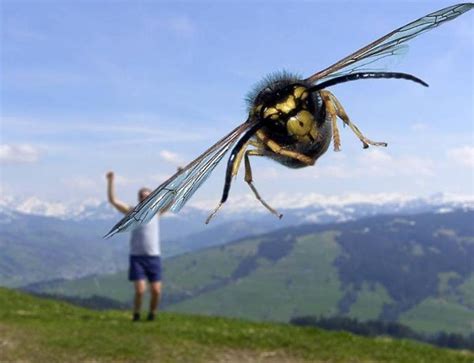 15 Divertidas Fotografías Tomadas En El Momento Exacto