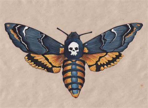 All deaths head moth choose your favorite deaths head moth designs and purchase them as wall art, home decor, phone cases, tote bags, and more! 0d7f1f299b515fb7753f35b1f968dca0.jpg (570×419) | Moth ...