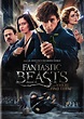 Fantastic Beasts and Where to Find Them [DVD] [2016] - Best Buy