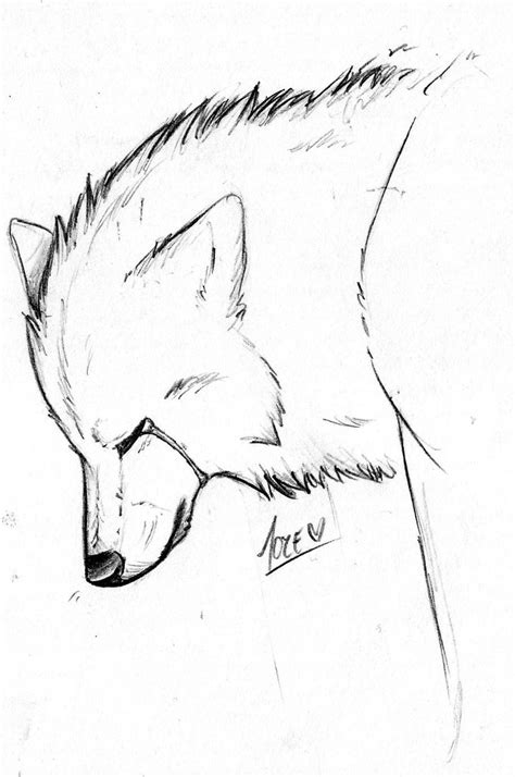 Sad Wolf Sketch ~ Wolf Sad Sketch Drawing Anime Drawings Wolves