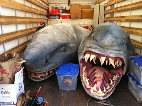 Committed Shark Week Asylum Style On The Road With Gemi The 2 Headed